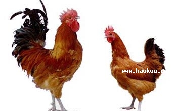 ʼu