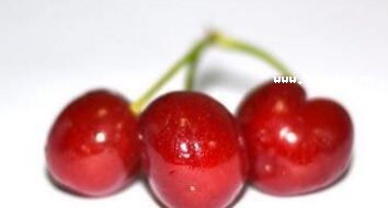 μϳγǙ