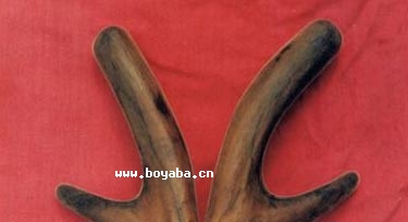 S¹