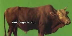 ˼Sţ