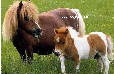 ɫR