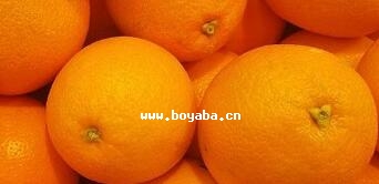 Ě