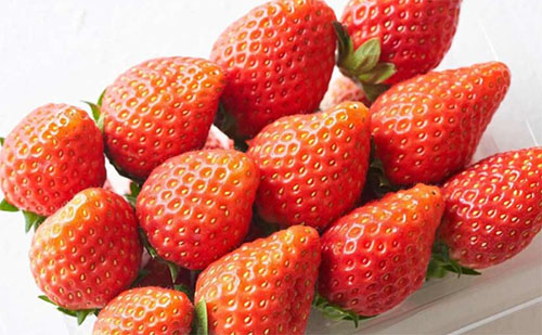 ݮ׃ԵıBƷ