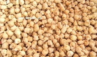 L