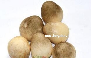 ײݹ