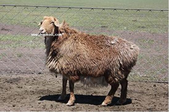 _