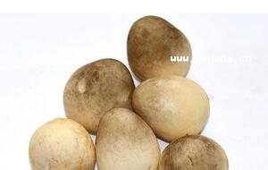 t}Ģ