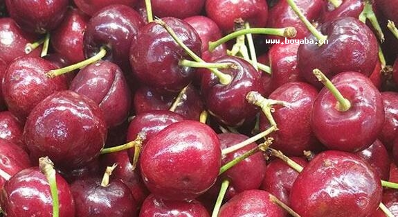 悴