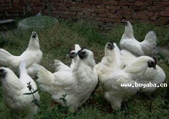 y(yng)u