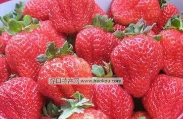 ۿhݮ