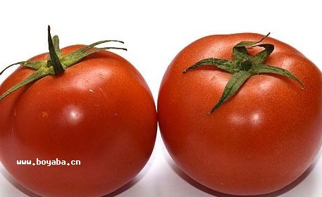 mt