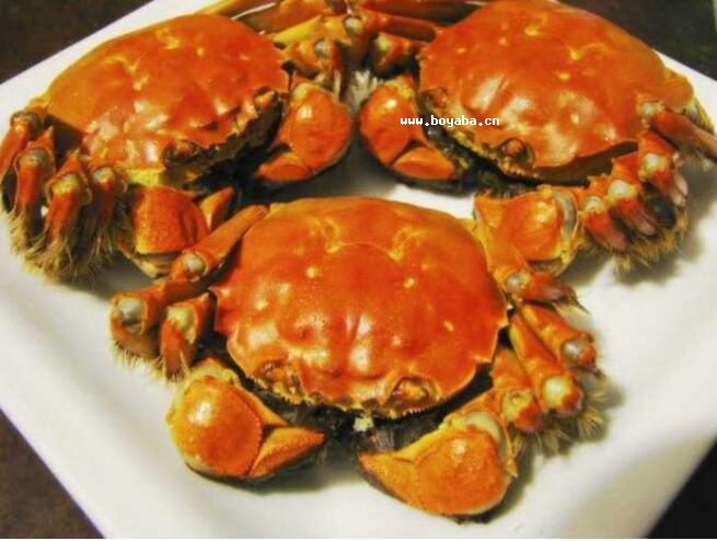 ʎlз