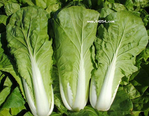 Aݰײ