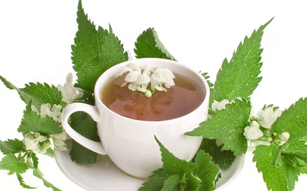 n茦ĺ̎