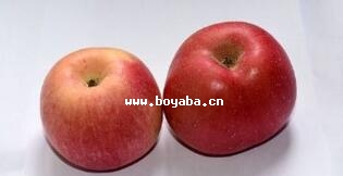 ꃱO