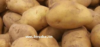 օǱR