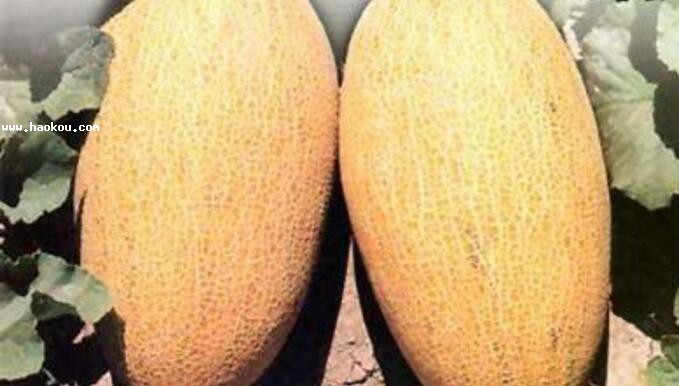 t܌