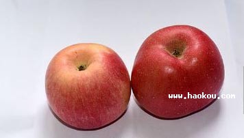 FtʿO