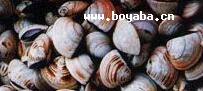 Jĸ