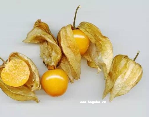 pǹ