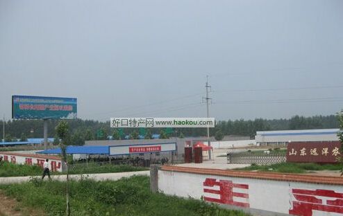 fʳþ