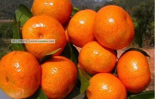 aٛؕ.jpg