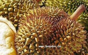 ɏ