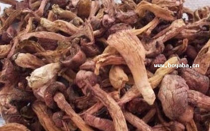 tĢ