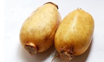ƽɏź