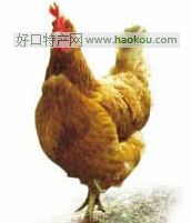؎Xu