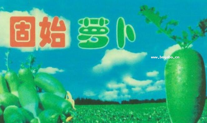 ʼ}