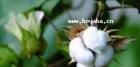 h޻