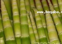 SSƷ