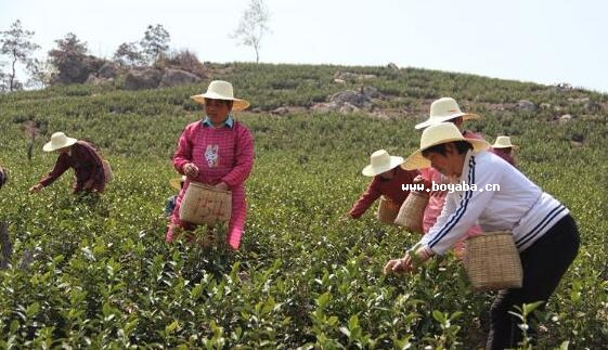 Sɽײ