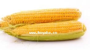׽z