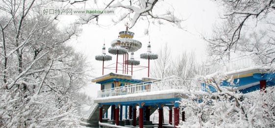 |Դʲôخa