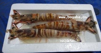 Ұr