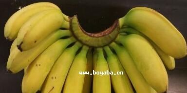 ό㽶