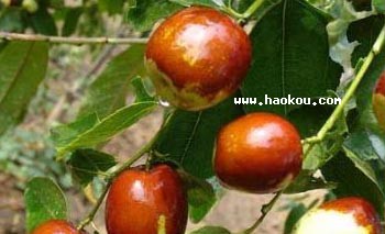 ռt