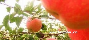 ѮO