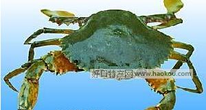 з