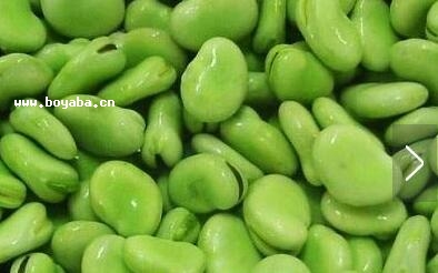 ԴQ