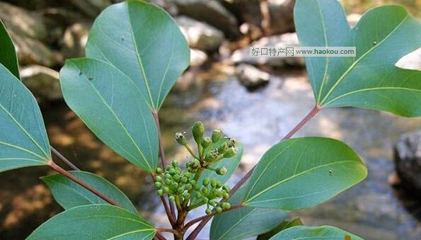 䅢