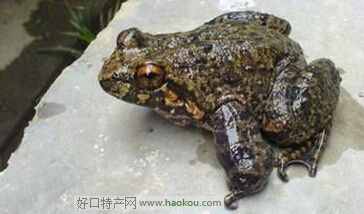 䌎ʯ