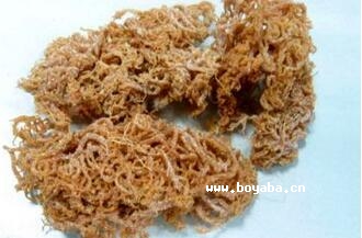 ʮ횲