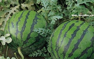 Mܹ