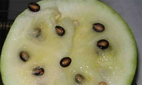 mѹ