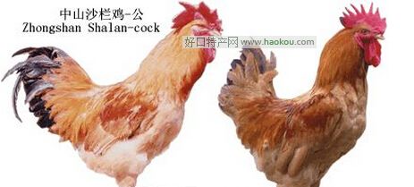 ʯu