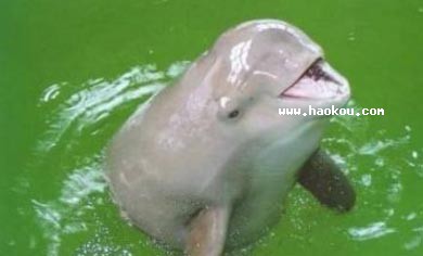 ʯ׽