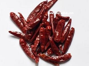 ՎXζ